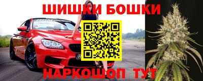 стафф Долгопрудный