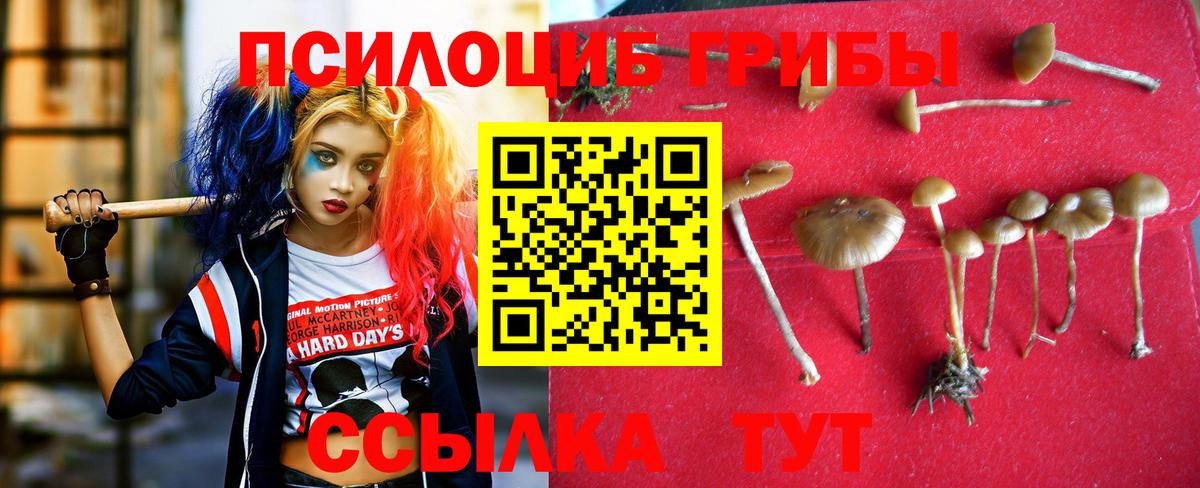 Галлюциногенные грибы MAGIC MUSHROOMS Сокол